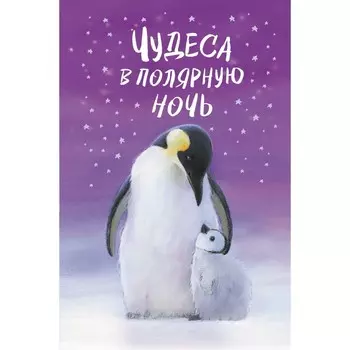 Чудеса в полярную ночь. Х. Вебб