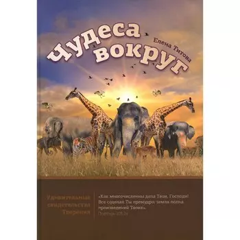 Чудеса вокруг. Титова Е.