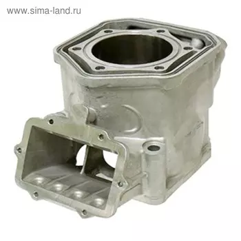 Цилиндр, Ski-doo, OEM 420623262, 420623263