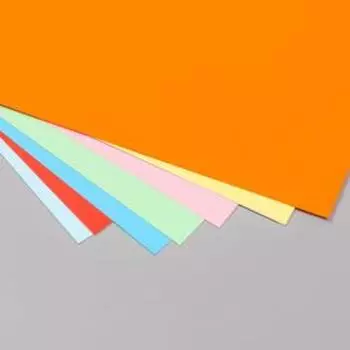 Цветная бумага А4 тонированная (набор 8 лист) 8 цв. в папке "Яркие цветы" 80 гр/м2