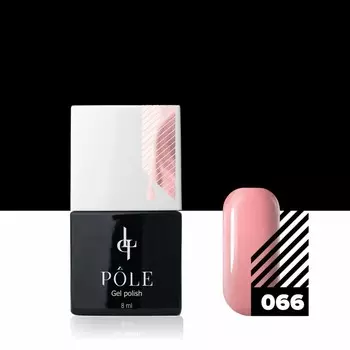 Цветной гель-лак Pole, №066 розовое кружево, 8 мл