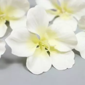 Цветок гортензии "Fabrica Decoru" 5 см, белые с желтым