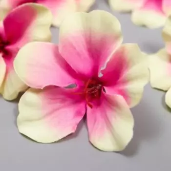 Цветок гортензии "Fabrica Decoru" 5 см, бежевый с розовым