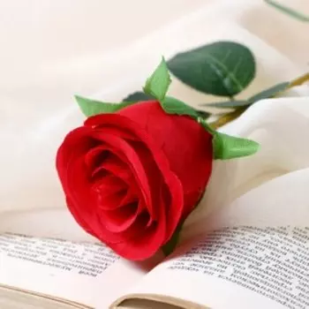 Цветы искусственные «Бутончик розы», 550 см, красные