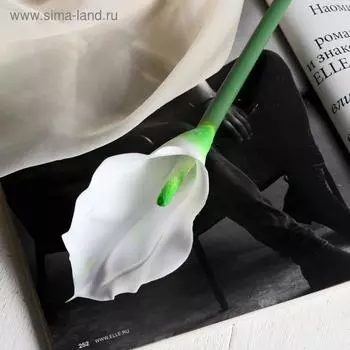Цветок искусственный «Калла», 765 см, белый