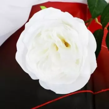 Цветок искусственный "Роза Прима" 11х45 см белый