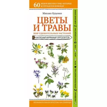 Цветы и травы. Мир удивительных растений. Куценко М. Е.