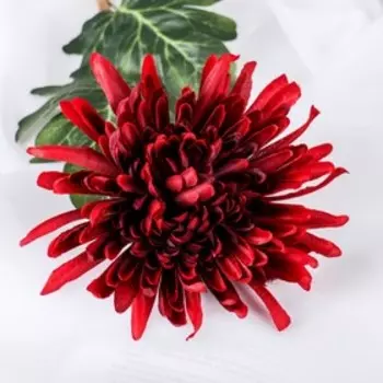 Цветы искусственные «Астра пионовидная», 1763 см, бордовые