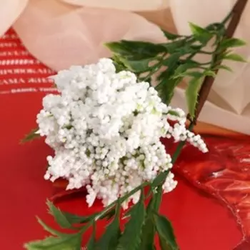 Цветы искусственные «Астра пышная», 755 см, белые