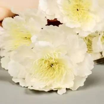 Цветы искусственные «Бегония Вайт», h=60 см, белые