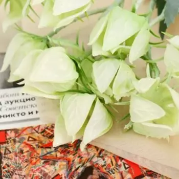 Цветы искусственные "Физалис перуанский" 59 см, белый