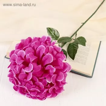 Цветы искусственные «Герань королевская», 1660 см, сиреневые