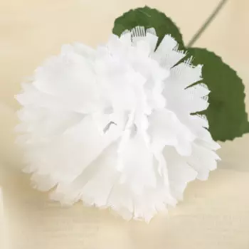 Цветы искусственные «Гвоздика», h=25 см, белые