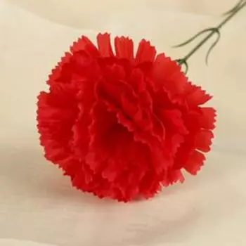 Цветы искусственные «Гвоздика», h=37 см, красные