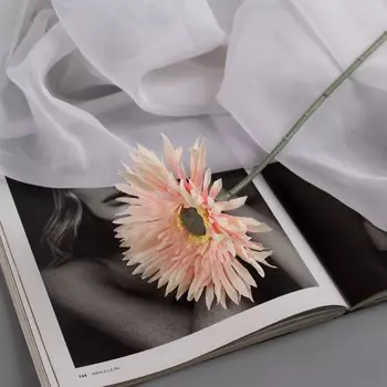 Цветы искусственные «Хризантема люкс», h=40 см, d=11 см, бело-розовые