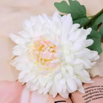 Цветы искусственные «Хризантема садовая галант», 1457 см, белые