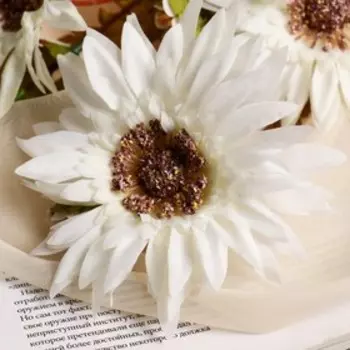 Цветы искусственные "Эхинацея" 58 см, белый