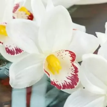 Цветы искусственные «Камбрия», 971 см, белые