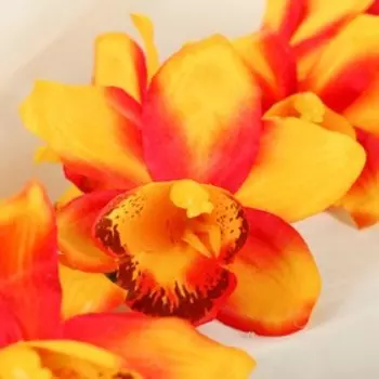 Цветы искусственные «Камбрия», 971 см, оранжевые