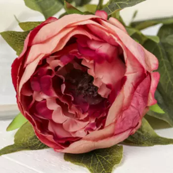 Цветы искусственные "Крупный пион" 9х70 см, бордовый с белым