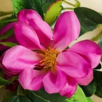 Цветы искусственные "Магнолия" 5х56 см, фиолетовый