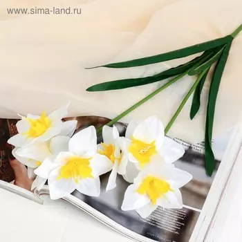 Цветы искусственные «Нарцисс», h=60 см, белые