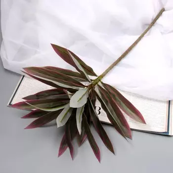 Цветы искусственные «Пальма домашняя люкс полоска», h=55 см, сиренево-зелёные