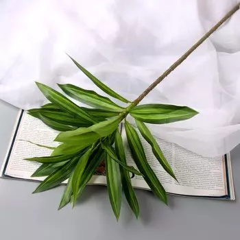 Цветы искусственные «Пальма домашняя люкс полоска», h=55 см, зелёные