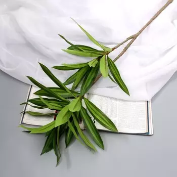 Цветы искусственные «Пальма домашняя люкс полоска», h=83 см, зелёные