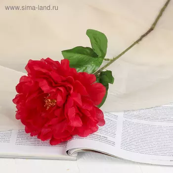 Цветы искусственные «Пион бархатный», 1555 см, красные