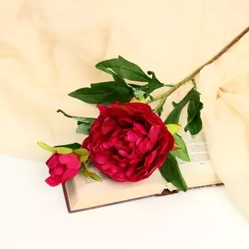 Цветы искусственные «Пион дуо», 1260 см, бордовые