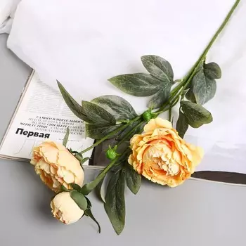 Цветы искусственные «Пион Эльза», h=64 см, d=10 см, светло-жёлтые