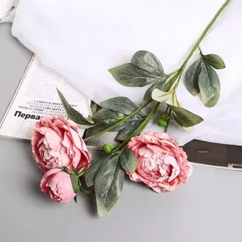 Цветы искусственные «Пион Эльза», h=64 см, d=10 см, розовые