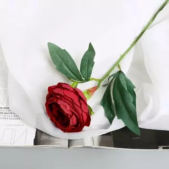 Цветы искусственные «Пион Пижон», h=45 см, d=8 см, бордовые