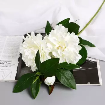 Цветы искусственные «Пион снежный пик», h=61 см, d=14 см, белые