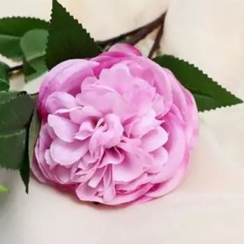 Цветы искусственные "Пион травянистый" 10х90 см, розовый