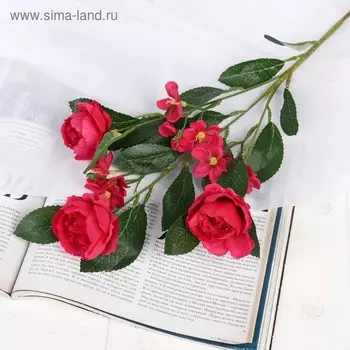 Цветы искусственные "Пионы Нежное признание" 5*69 см, малиновый