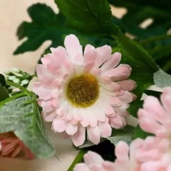 Цветы искусственные "Пижма девичья" 6х65 см, розовый