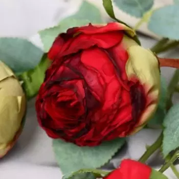 Цветы искусственные «Роза грация», 757 см, красные