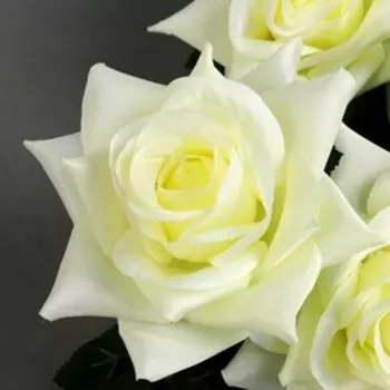 Цветы искусственные "Роза Компэшн" 11х59 см, белый