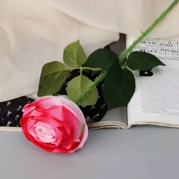 Цветы искусственные «Роза леди каскад, с шипами», 578 см, бело-розовые