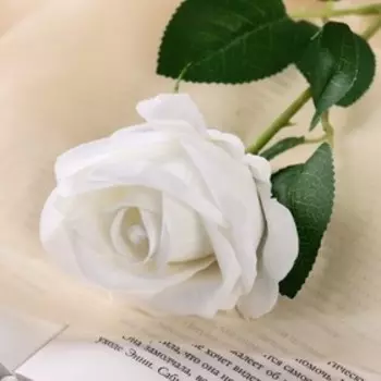 Цветы искусственные «Роза обаяние», 646 см, белые