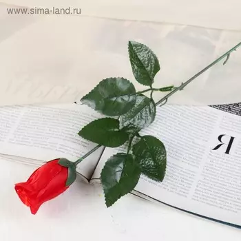 Цветы искусственные «Роза простая», h=50 см, красные