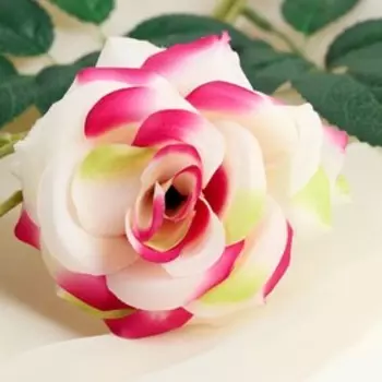 Цветы искусственные «Роза тройная», 661 см, бело-розовые