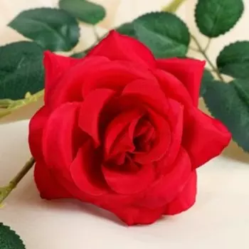 Цветы искусственные «Роза тройная», 661 см, красные