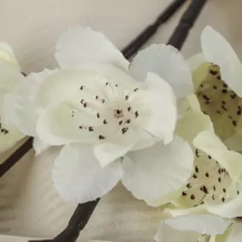 Цветы искусственные "Сакура нежность" 4*85 см, белый