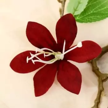 Цветы искусственные "Зефирантес" 56х8 см, бордовый