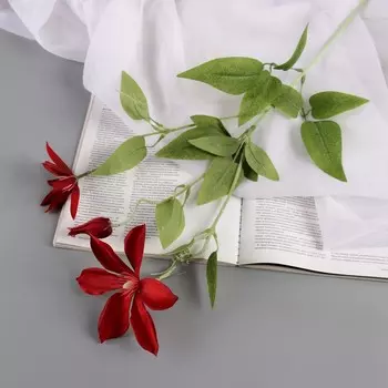 Цветы искусственные «Жасмин домашний», h=60 см, красные