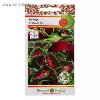 Цветы Колеус Радуга, смесь (зел.дом) (0,05г)