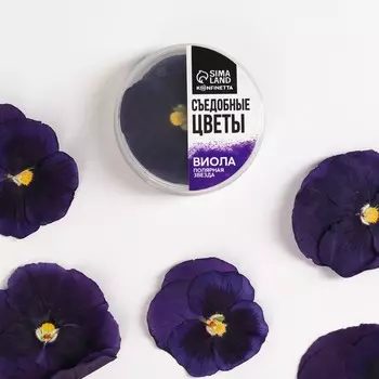 Цветы съедобные «Виола тёмно-фиолетовая» для капкейков, тортов, куличей, напитков, 5 шт.